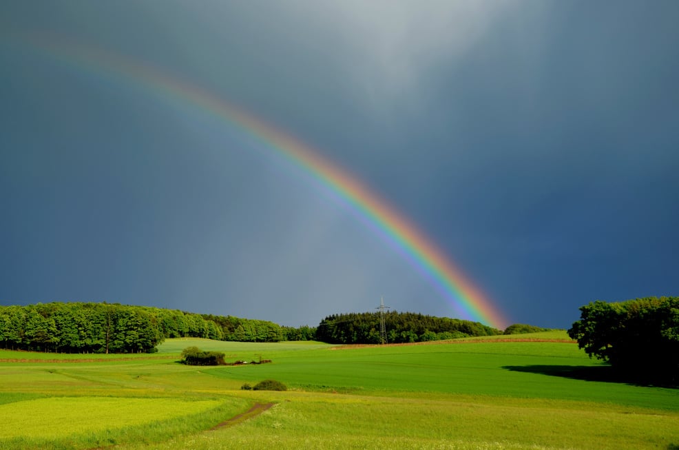 Rainbow in Nature